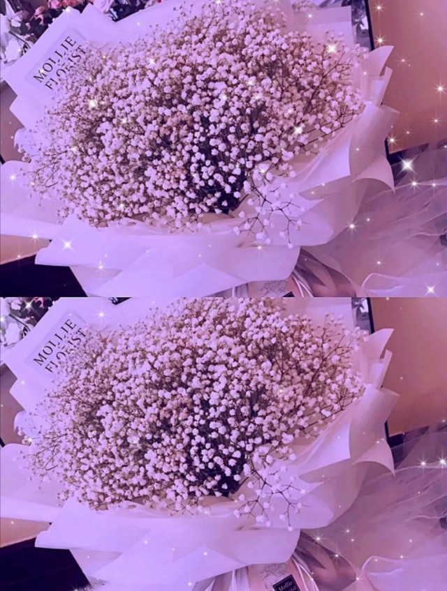 贞子3d和午夜凶铃什么关系_贞子3d_贞子3d和原版区别