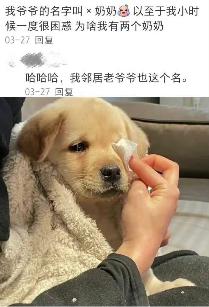 搞笑公交车版手机游戏有哪些_搞笑公交车版手机游戏大全_搞笑公交车手机版游戏