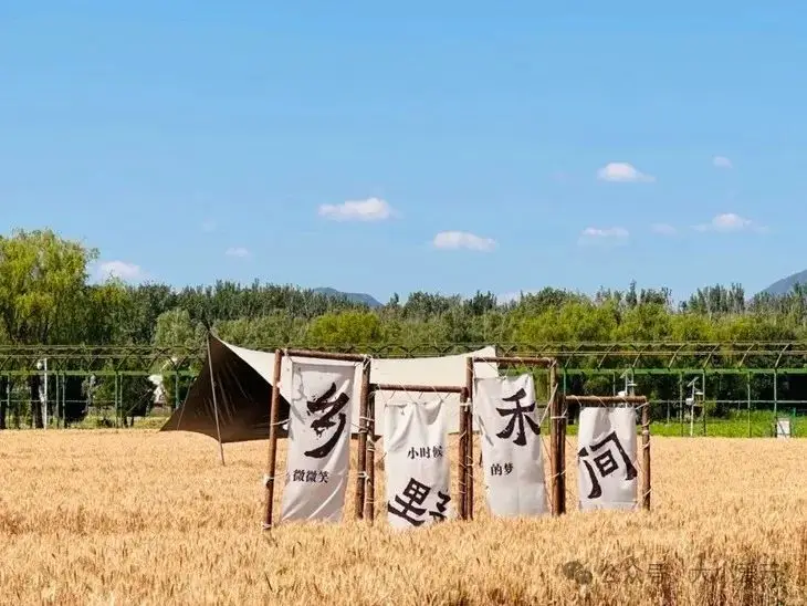 粽子三角形象征着什么_三角粽子手法_粽子做成三角形象征什么