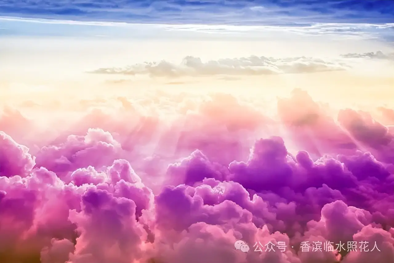 伊优达_伊优_伊优进化图
