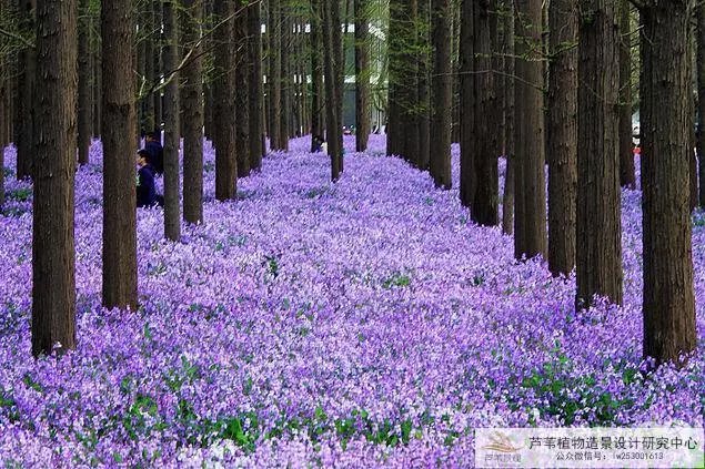 单人游戏视觉错乱手机版_视觉错乱游戏攻略_视觉错乱的游戏