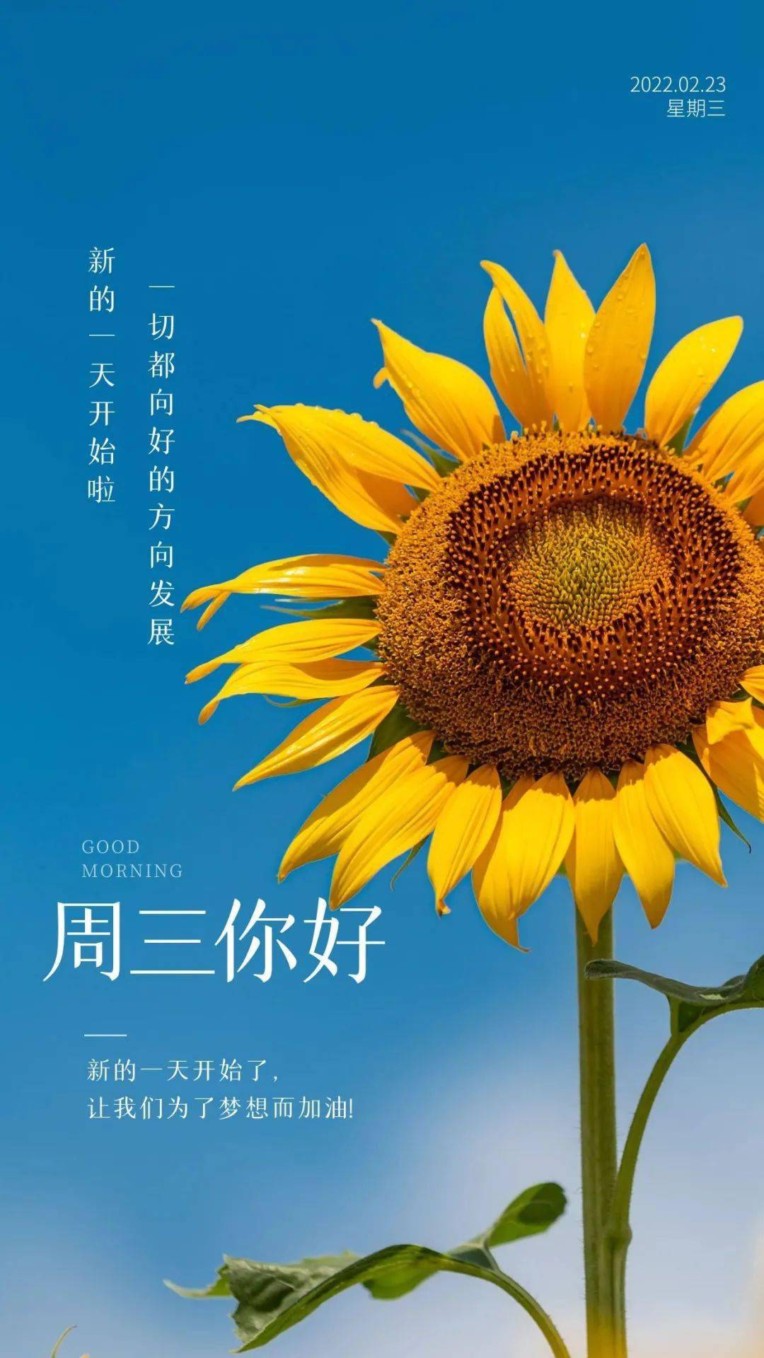 23年日历表_日历表年月日显示温度_日历表年份