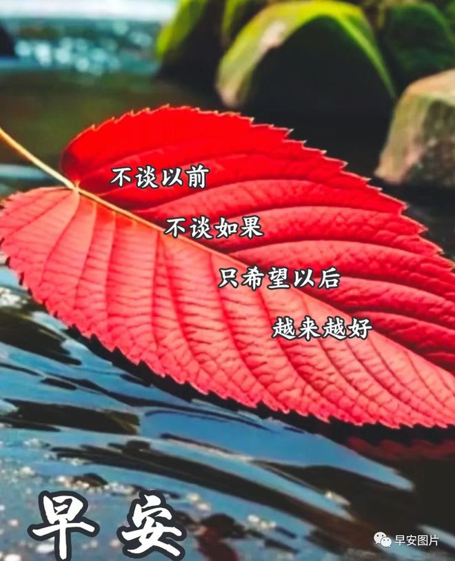 哪些年是闰月年_2021年4月23日_月年2023年
