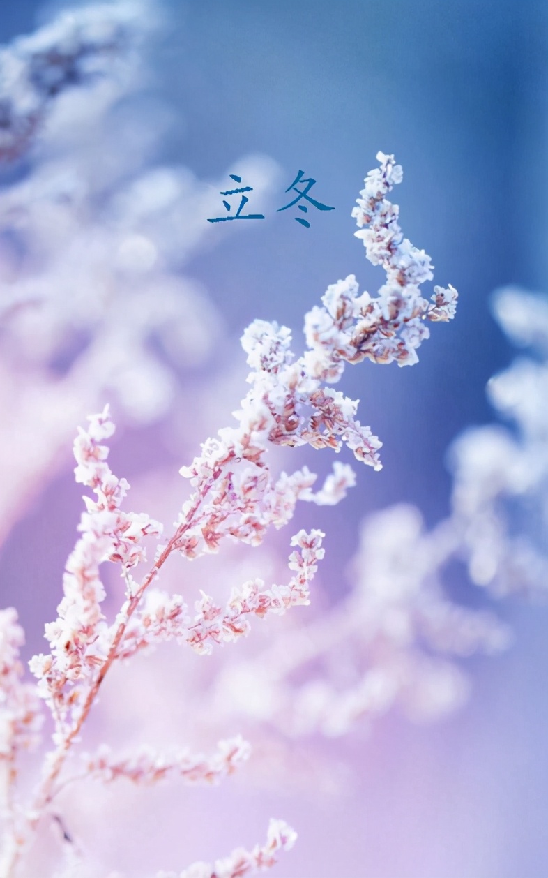 日历表节气表_日历节气表2021_2022年节气日历表