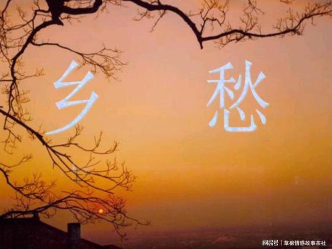 菅野洋子_菅野さゆき_菅野