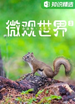 多元菌_多元菌_多元菌