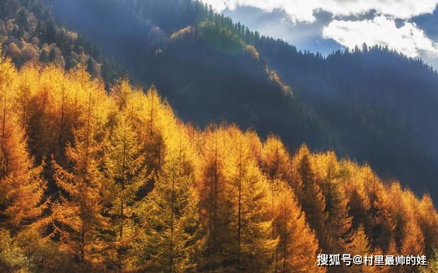 管宁和华歆_管宁_管宁简介