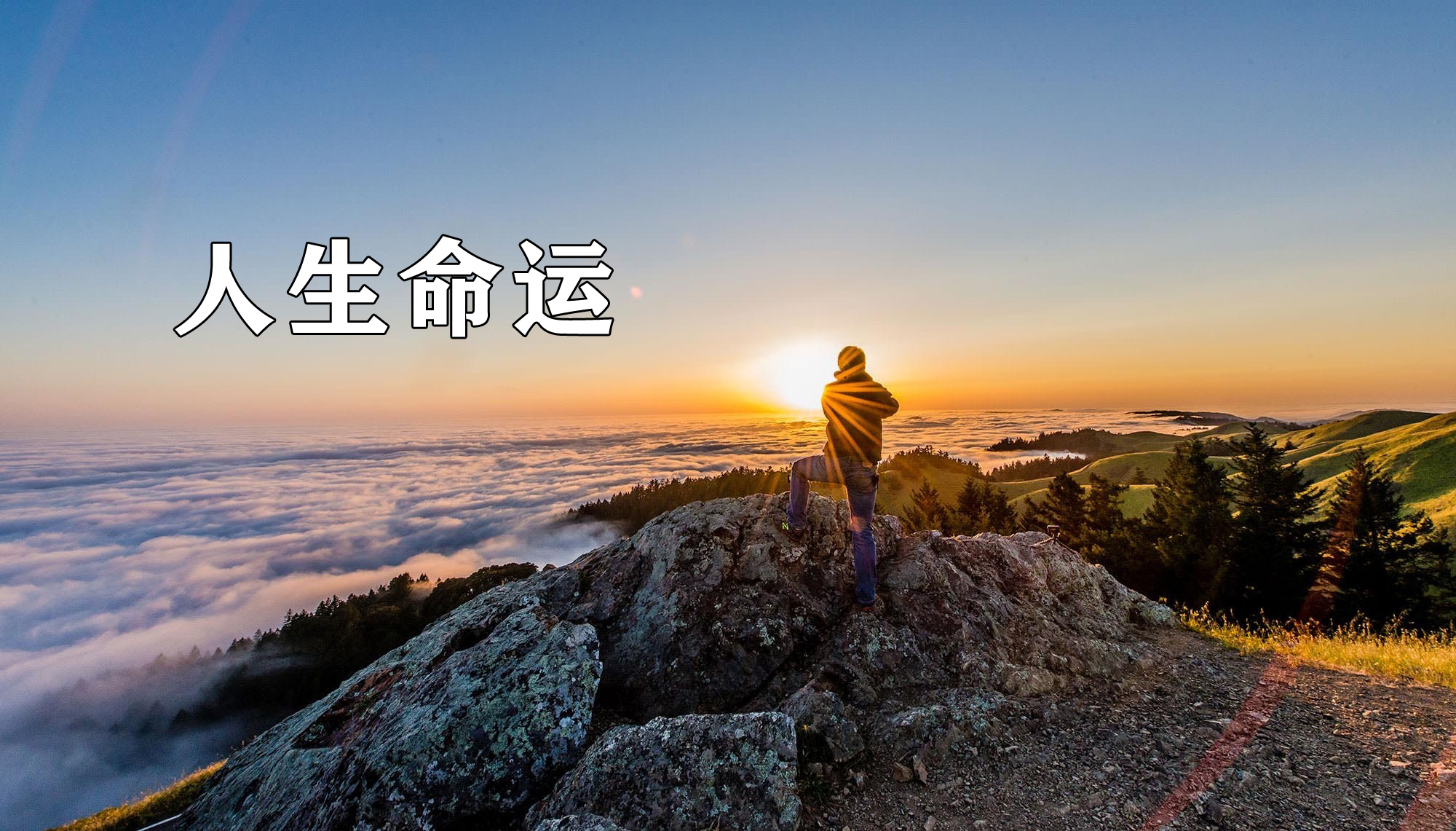 命运化妆师老师的死因_命运化妆师_命运化妆师简介