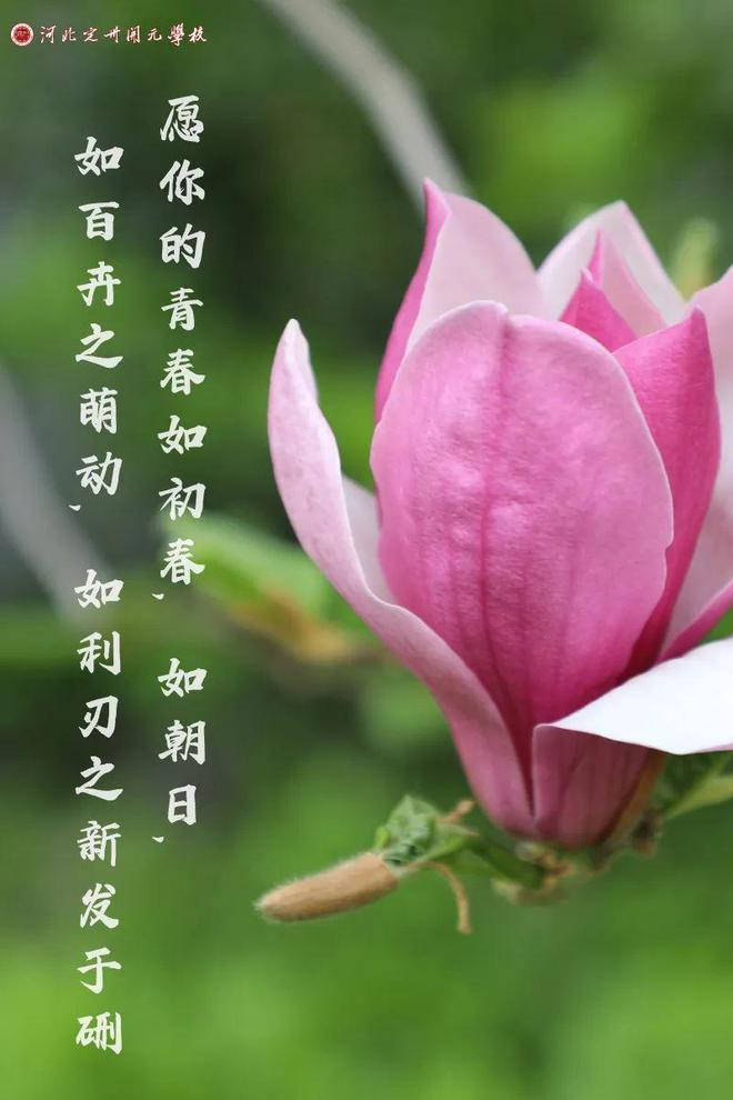 五四青年节节目表演2020_五四青年节节目2021_五四青年节节目
