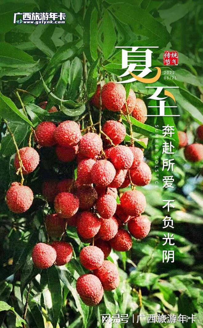 夏至**俗_夏至**俗_夏至**俗