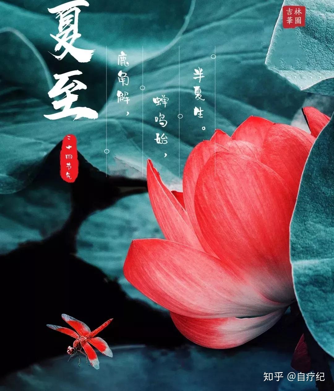 夏至**俗_夏至**俗_夏至**俗