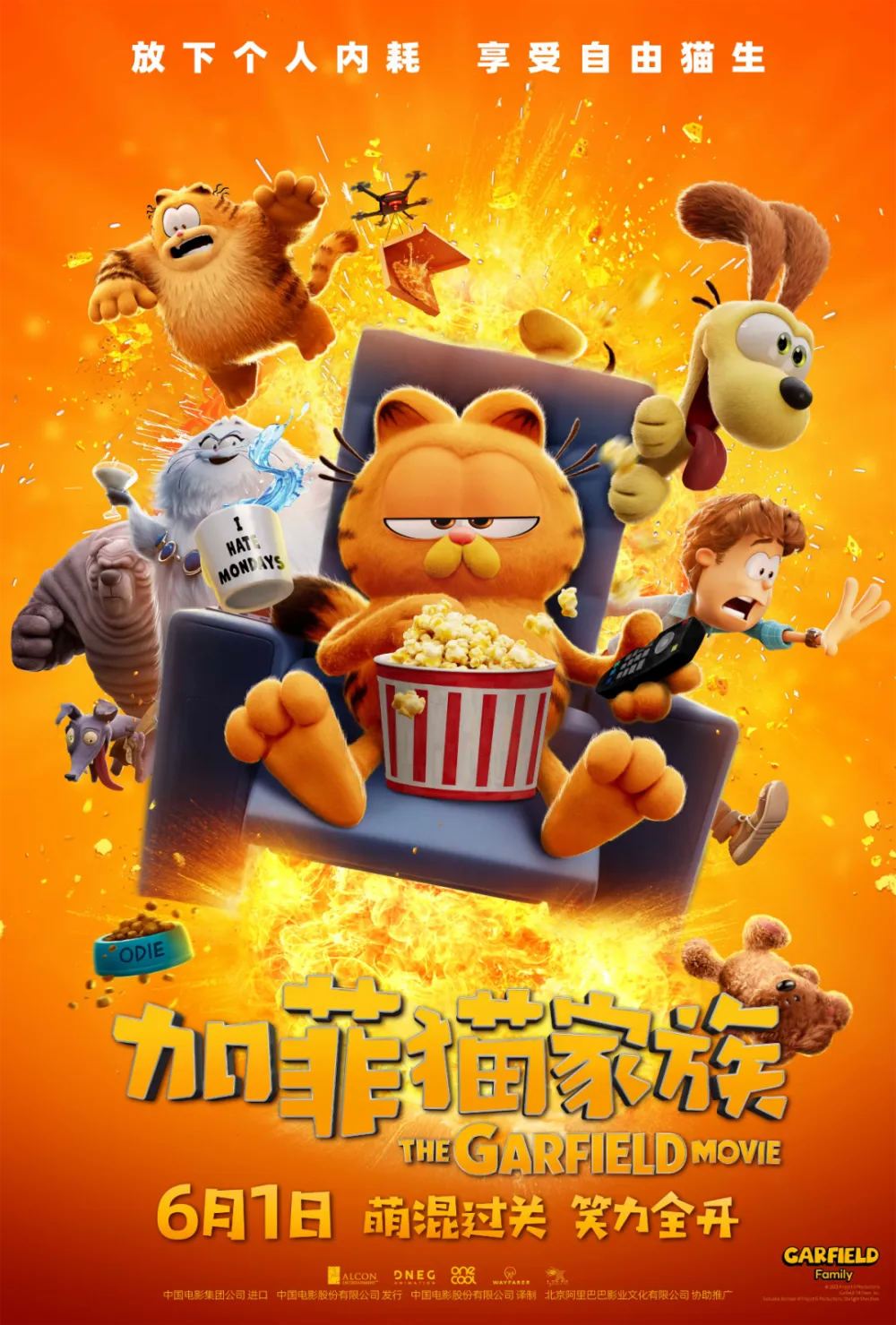 绿皮书电影国语版免费观看-免费观看！绿皮书国语版震撼来袭，讲