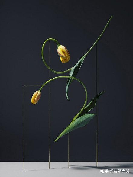 基尔什塔利亚_基尔什塔利亚百度百科_基尔什塔利亚lofter
