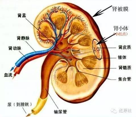 请说出你的故事表情包_雨后小故事表情包_雨后表情包故事小视频