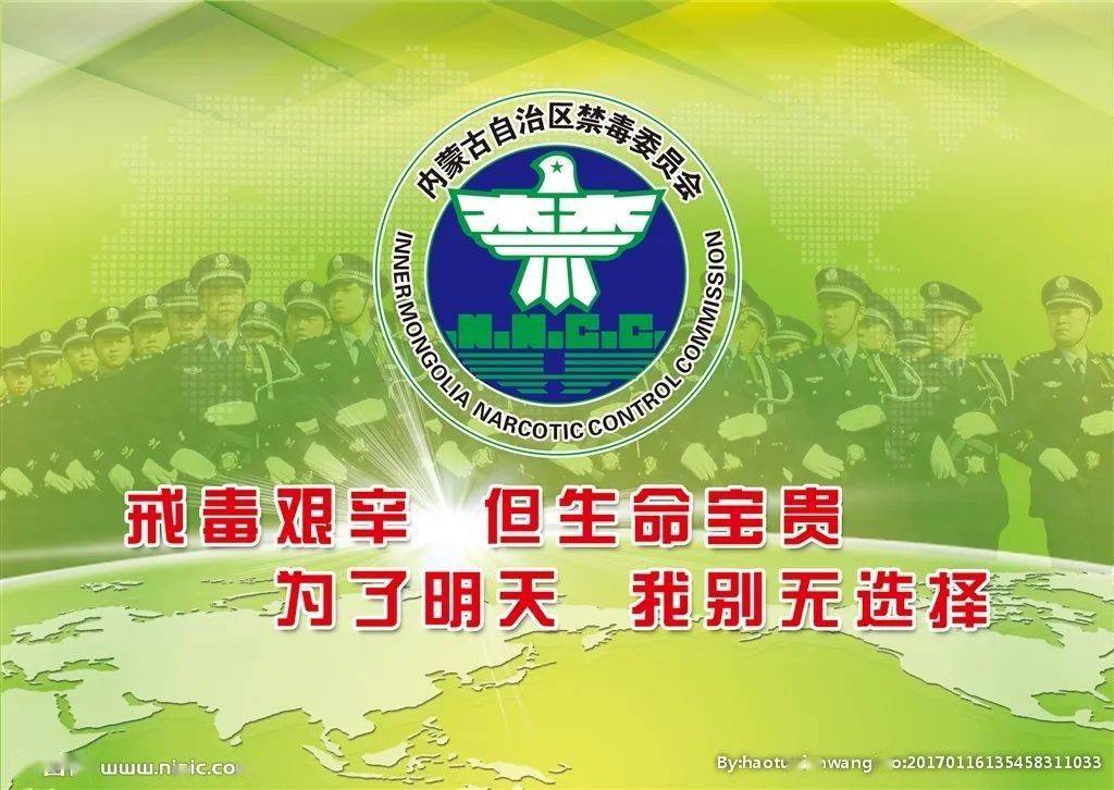 禁毒国际合作的途径_国际禁毒日_禁毒国际公约