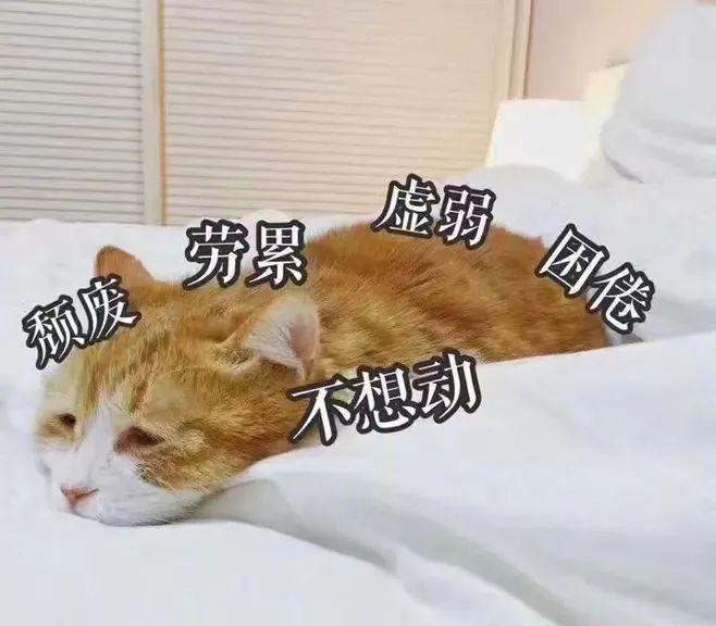 2020年2月3日_月日年还是日月年_月年2023年