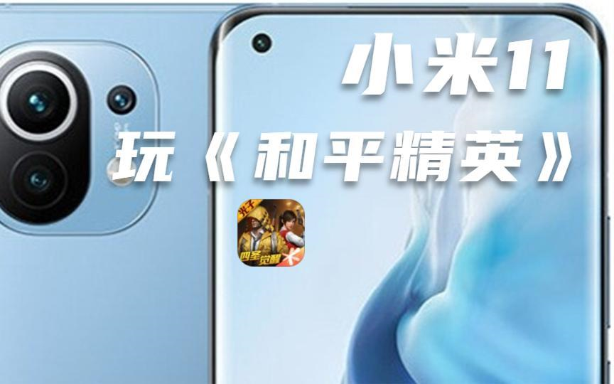 吃鸡游戏的小米手机怎么样_小鸡吃米粒游戏_小鸡吃米游戏怎么玩