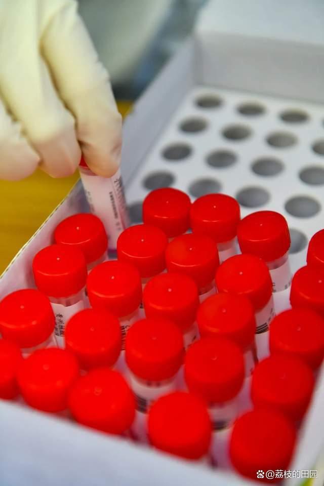 病毒工厂手机游戏_病毒工司游戏_病毒工厂游戏攻略