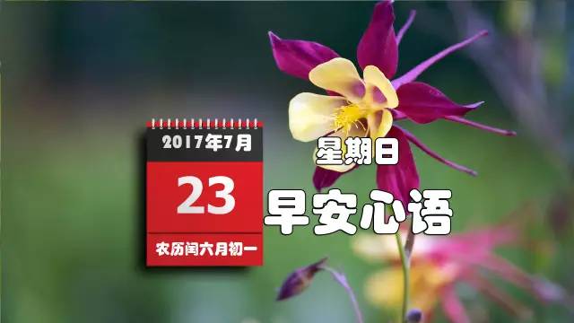 7月23_月亮_月夜忆舍弟唐杜甫
