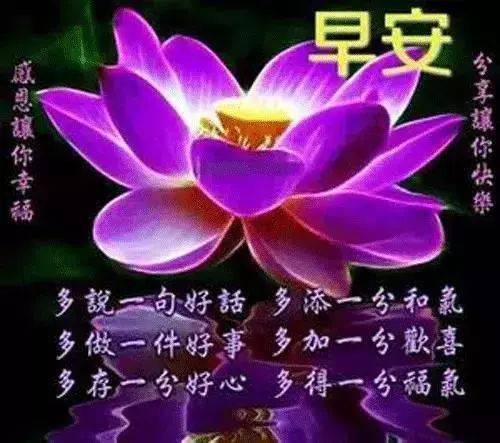 平安夜歌曲_平安夜歌曲简谱_平安夜歌曲原唱