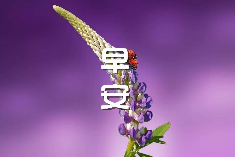 平安夜歌曲_平安夜歌曲原唱_平安夜歌曲简谱