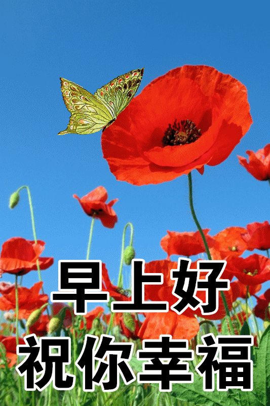 志村乔_志村健_志村