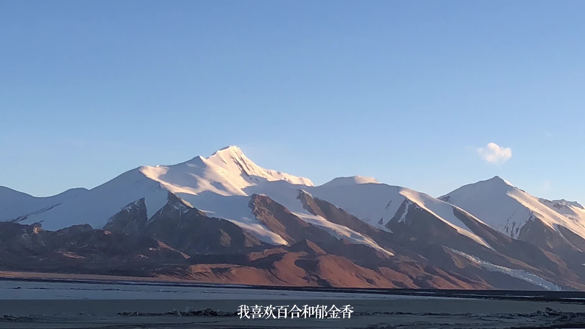 盟约在线听_电影高清观看在线盟约影院_盟约电影在线观看高清