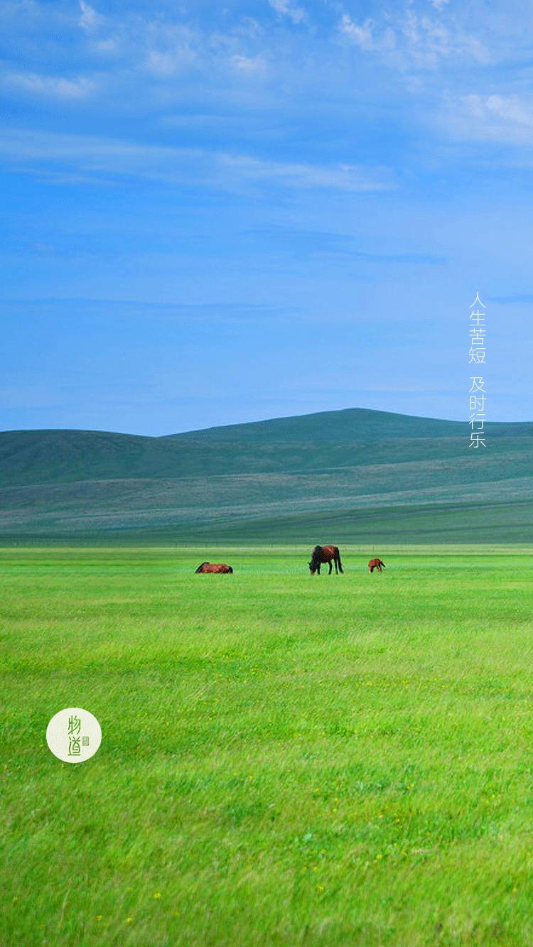 八寻_八寻宁宁_八寻图片