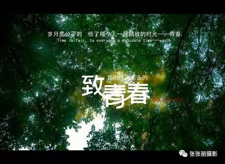 八寻_八寻图片_八寻宁宁