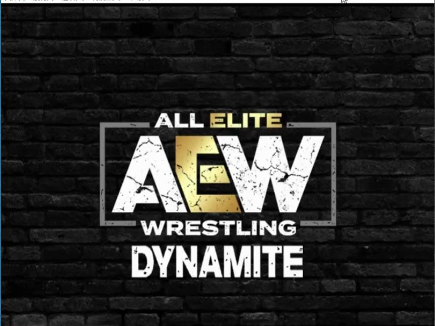 wwe手机游戏2009_手机游戏平台_手机游戏推荐