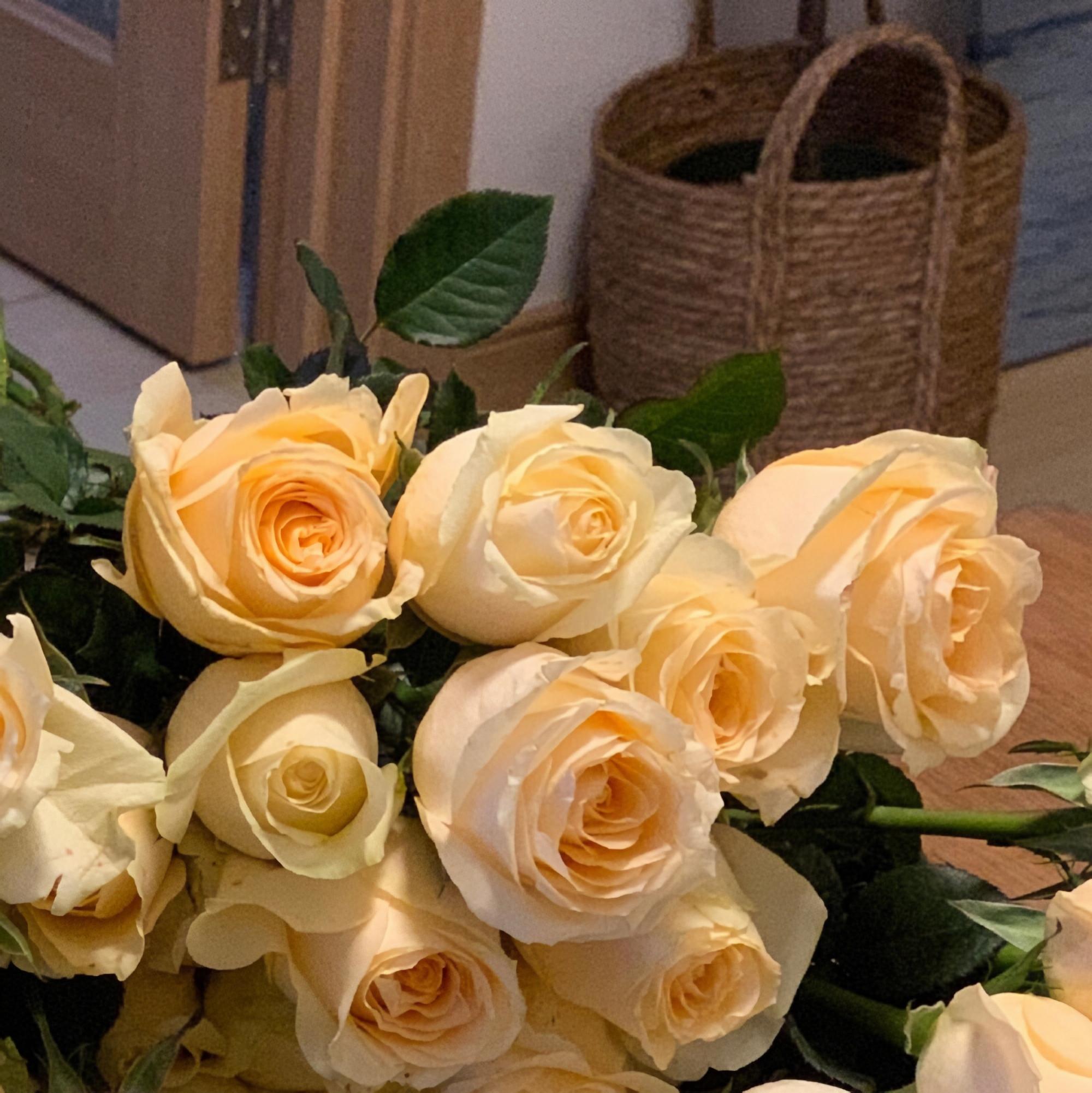 春紫菀是什么花_春紫菀_春紫菀花语