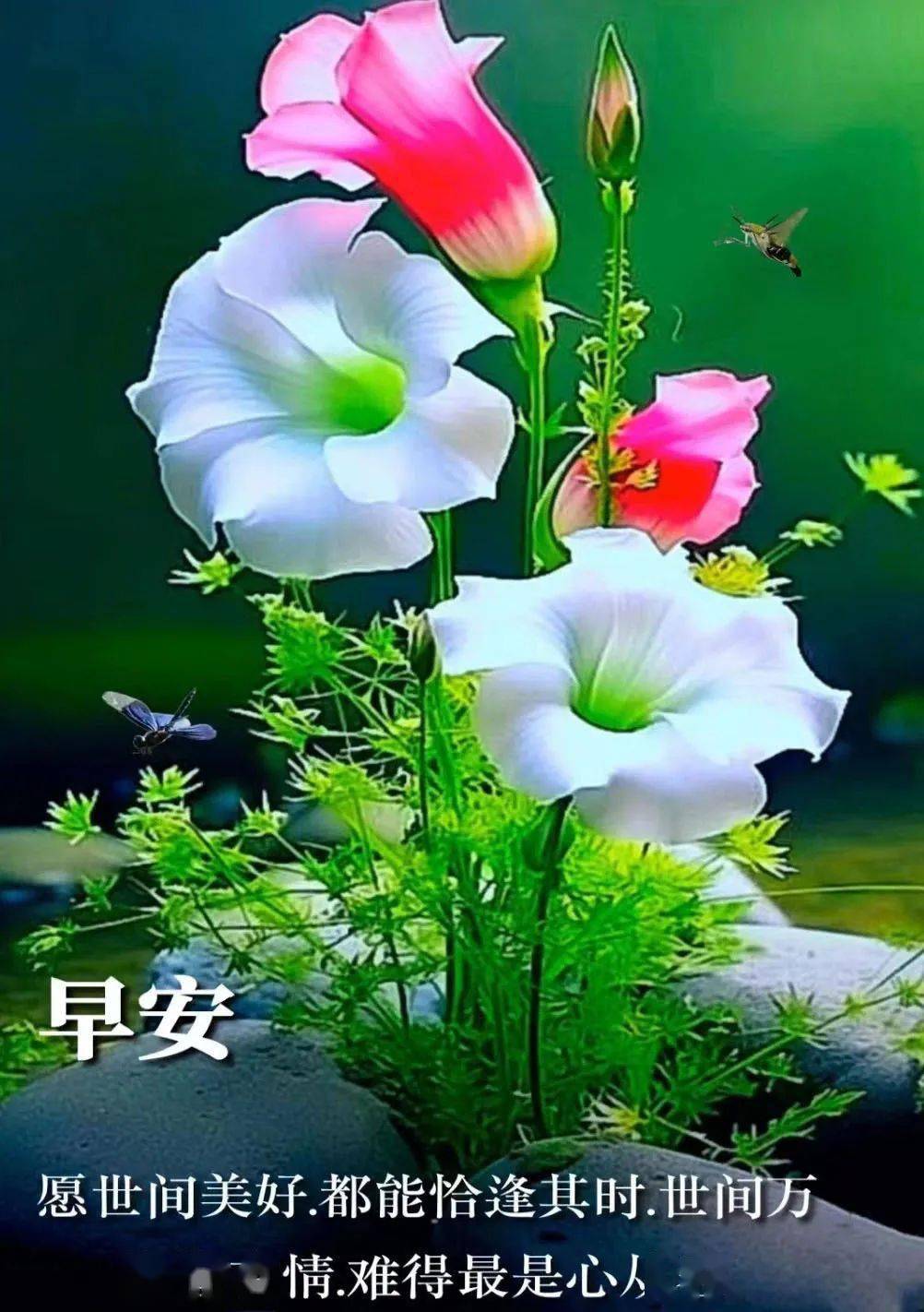 民谣醉乡完整版_醉乡民谣歌曲歌词_醉乡民谣