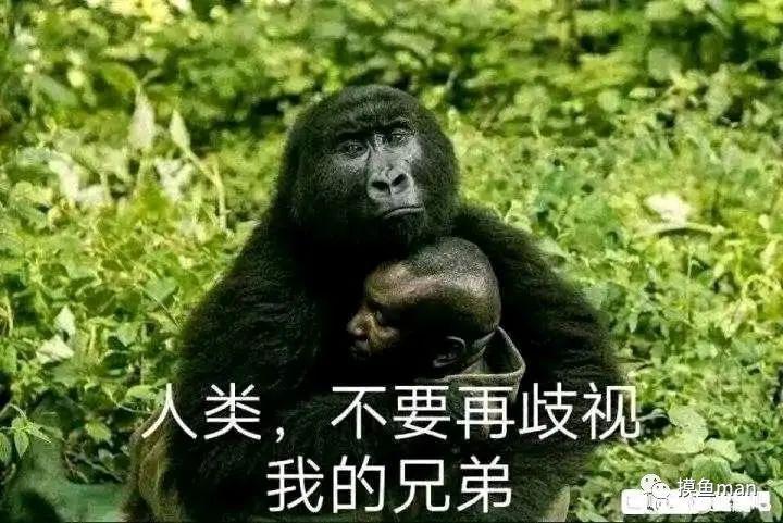 地狱笑话大全_笑话地狱合集在线观看_地狱笑话合集