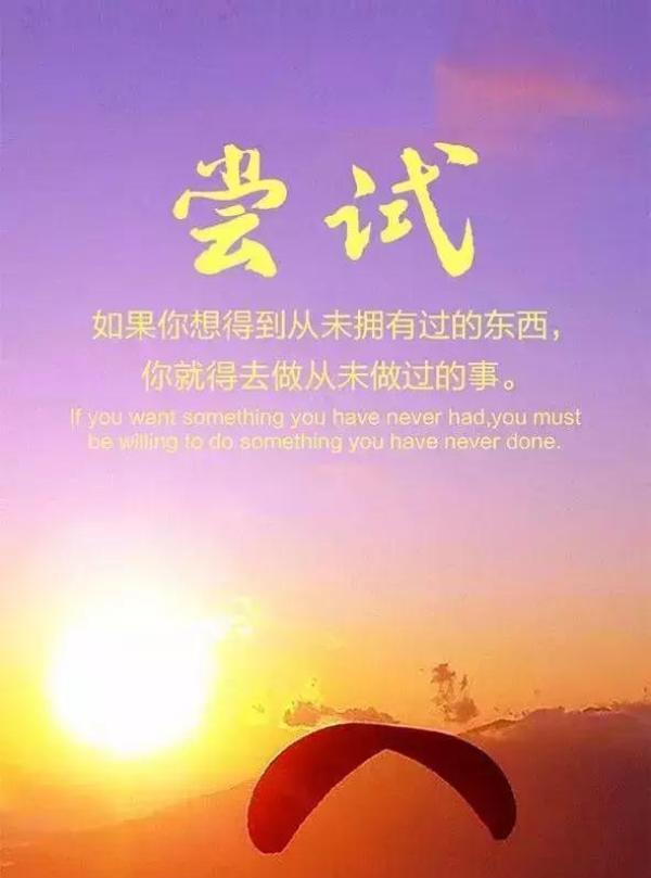 血仇美剧_血仇_血仇下载
