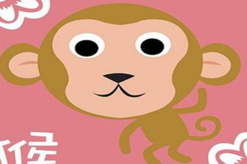 属猴是哪年出生的_猴属于哪一年出生_猴属性哪年出生