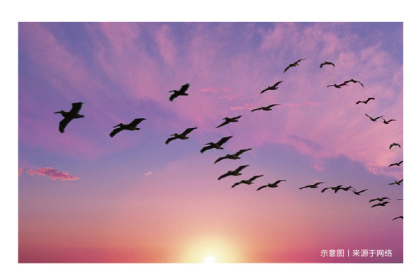 游生梦死是动漫吗_游生梦死翻译_游生梦死
