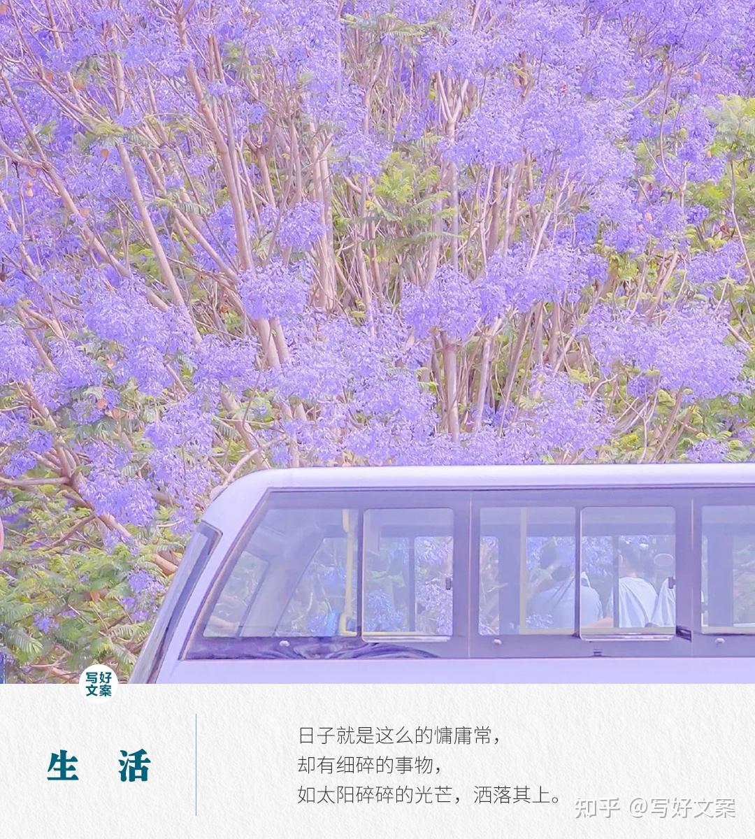 日子是什么意思_是什么日子_是什么日子
