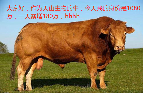layui文件上传_上传文件怎么上传_上传文件大小超过限制怎么办