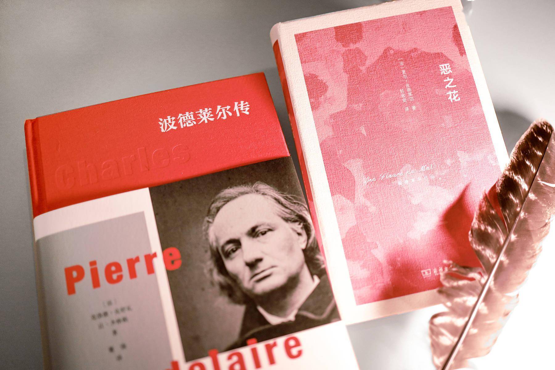 梵音圣姬戴菲_古圣戴始龙卡组_古圣戴始龙