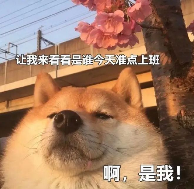 五一调休_五一调休怎么调2024_五一调休是怎么调休的