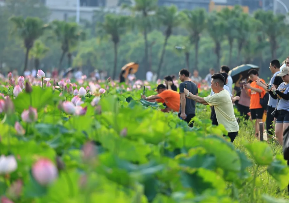国庆帐篷节_武汉国庆天气_国庆节天气