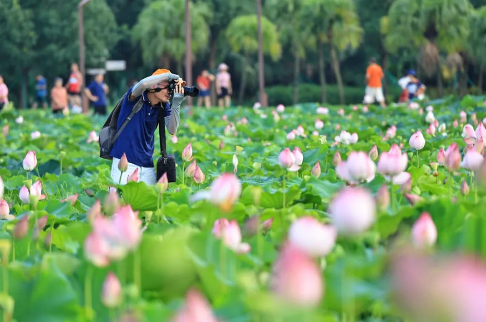 国庆节天气_国庆帐篷节_武汉国庆天气