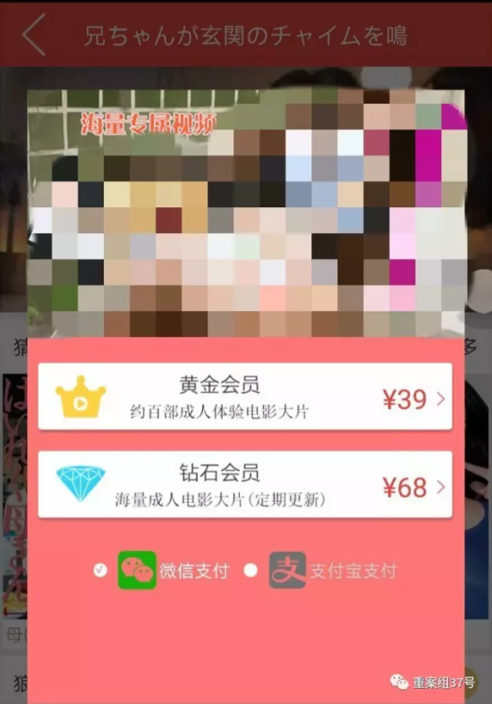 简单学网收费表_简单学网校官网_简单学**网app