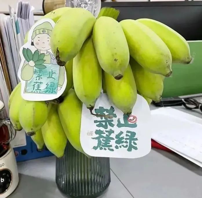 打折手机游戏益智_打折益智手机游戏大全_打折益智手机游戏有哪些
