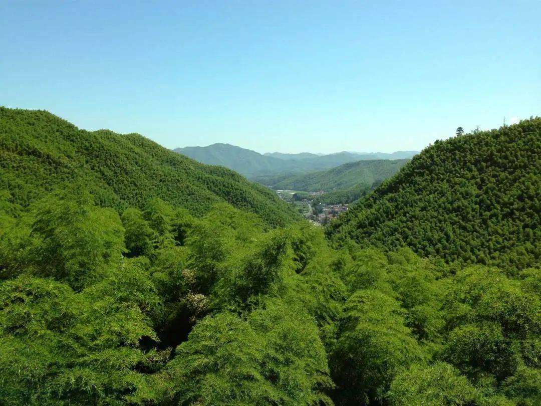 佛教手机游戏_佛性手机游戏_很佛的游戏