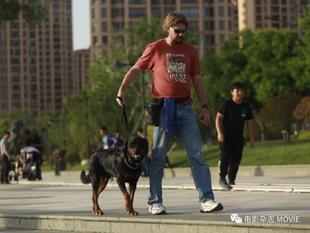 电影《忠犬八公》_忠犬八公2023电影免费完整观看高清_忠犬八公的电影在线观看免费