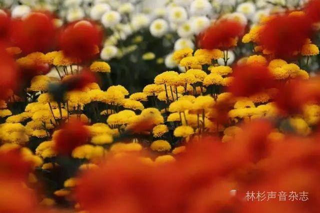 长濑_n0788长濑真子_长濑真子n0788