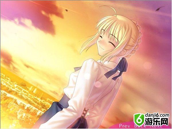 fate游戏汉化手机版_汉化版手机游戏推荐_galgame汉化版手机游戏