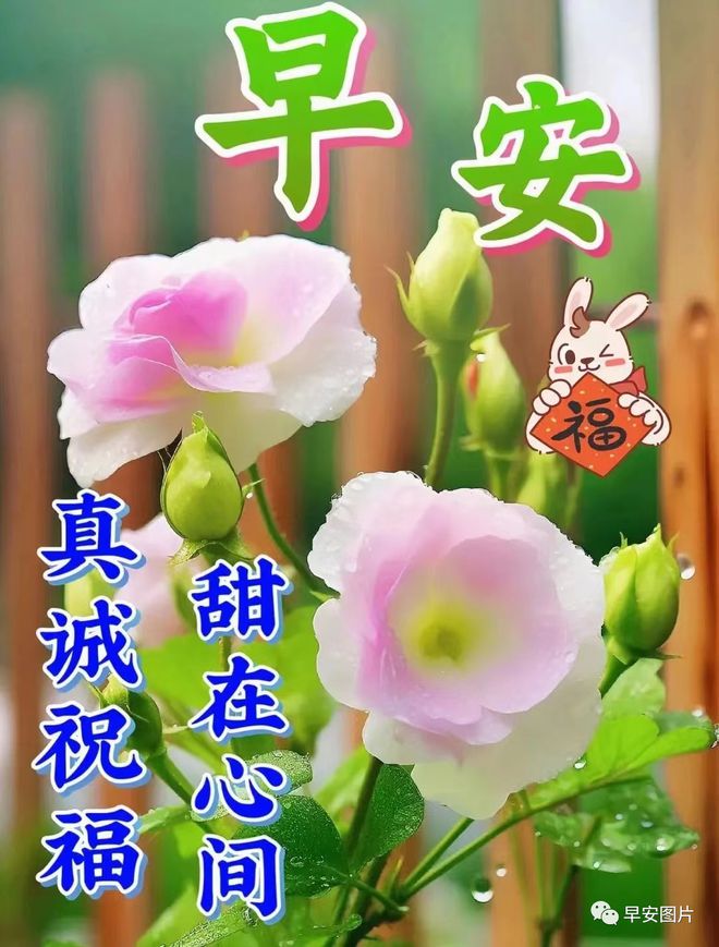 爱情类手机游戏有哪些_爱情类手机游戏_爱情类手机游戏推荐