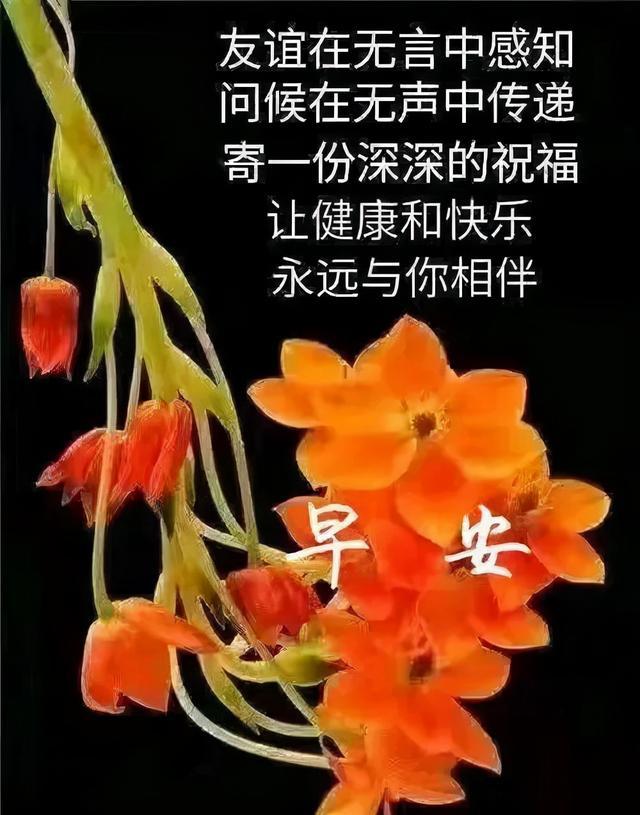 安妮的游戏手机_安妮游戏角色_安妮手机游戏官网